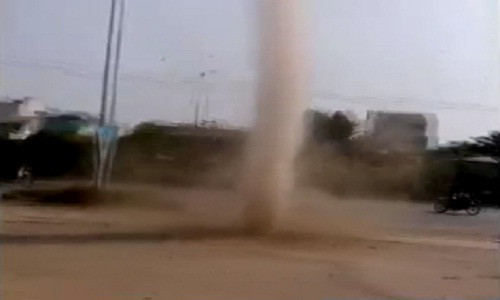 Lien tiep xuat hien voi rong o TP HCM