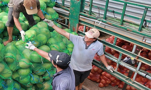 Thuong lai Trung Quoc tang cuong thu mua, dua kho “sot gia“