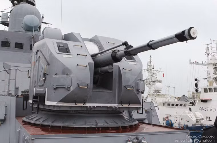 Cả tàu Gepard Việt Nam và Nga đều sử dụng hệ thống pháo hải quân AK-176 để chống mục tiêu mặt nước, trên không, mặt đất với đạn pháo 76,2mm, tốc độ bắn 120 phát/phút.