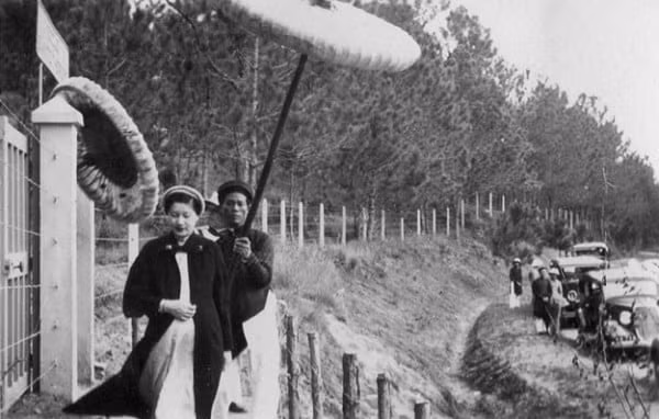 Theo các tài liệu ghi lại đa số cung phi triều Nguyễn đều là con quan đại thần được tiến cung.