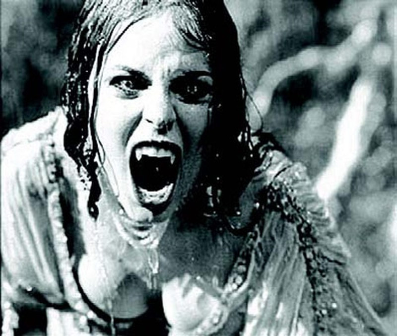 Sau này rất nhiều tác phẩm viết về ma cà rồng ra đời. Điều dễ nhận thấy trong các tác phẩm này là không khí quái dị, kinh sợ gây choáng ngợp cho người đọc. Cùng với đó là hình ảnh ma cà rồng bất lương, chuyên đi hút máu người.