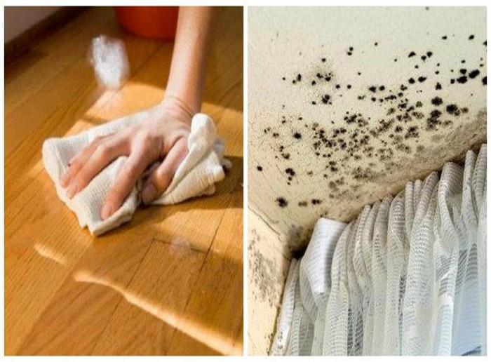 Với các mảng tường đầy nấm mốc, bạn có thể dùng nước javen vốn là nước khử trùng mạnh nhất sẽ giúp tiêu diệt tất tật bào tử nấm. Hãy pha thật loãng javen rồi quét lên chỗ tường bị nấm mốc, sau khi quét xong, bạn có thể quét vôi hoặc sơn lại.