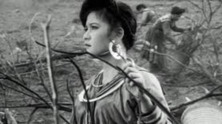  Tục ăn tết: Tết vùng cao không giống tết ở miền xuôi. Người H'mông ăn tết khi ngô lúa đã gặt xong, mùa xuân có niềm vui thu hoạch mùa màng. Tết miền núi tràn ngập màu sắc và âm thanh. Trai gái kéo nhau lên núi chơi. Các chị Mèo đỏ, váy thêu, áo khoác, khăn hoa chùm rực rỡ. Các chị Mèo trắng chít khăn xếp phẳng lì, tóc mai cạo xanh nhẵn.