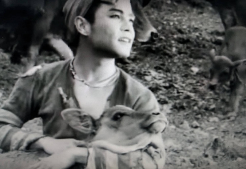  Tục cúng trình ma. Mị bị bắt về một cách vô lý, bị cúng trình ma. Trong suy nghĩ của Mị, đã bị cúng trình ma thì chết cũng làm ma nhà thống lý. A Phủ cũng vậy, cũng bị bắt về, cúng trình ma trong một vụ kiện vô cùng lạ lùng… Đối với người dân H’Mông trước đây, ma là thế lực thần quyền đáng sợ. Nó làm cho con người trở nên mê muội, tê liệt ý thức về quyền sống.