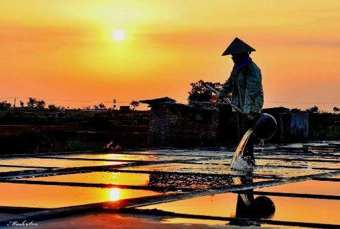 Bài thơ “Sóng” được sáng tác năm 1967 trong chuyến đi thực tế của nhà thơ Xuân Quỳnh ở vùng biển Diêm Điền (Thái Bình).