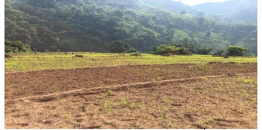 Sau khi đã bị phế ngôi, nghĩ tình cậu cháu, lại ít nhiều có ơn với mình nên Ngô Xương Văn không giết mà chỉ giáng Dương Tam Kha làm Chương Dương Công, ban cho đất Chương Dương làm thực ấp (nay là xã Chương Dương, huyện Thường Tín, Hà Nội). Tại đây ông dạy dân trồng trọt, chăn nuôi, khai hoang, lập lên nhiều làng xóm…