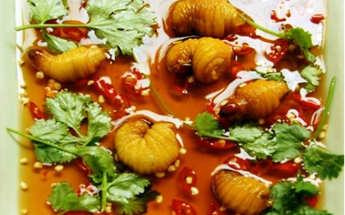 Đuông dừa phá phổ biến. Hàng năm, cứ sau mùa giao phối, bọ kiến dương, một loại bọ cánh cứng, thường chọn cây dừa sung sức để khoét ngọn vào sinh trứng. Khi đọt dừa thối cũng là lúc đuông dừa trưởng thành, mỗi con nằm ở một lỗ. Một thân dừa có thể có hàng trăm con đuông.