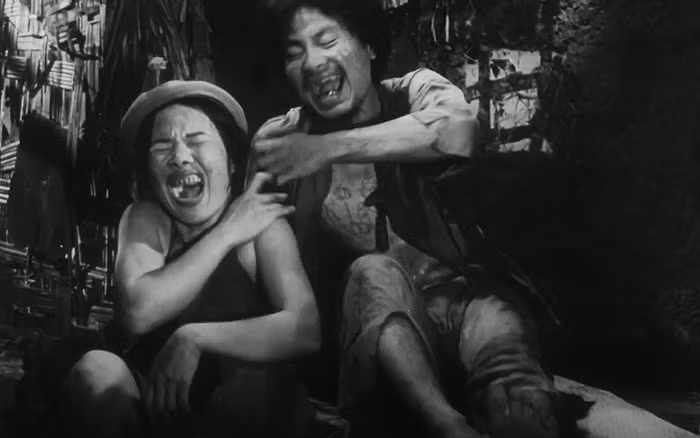 Ngày nay, nhân vật Thị Nở đã bước từ trang sách ra cuộc sống hàng này. Thị Nở trở thành một tên gọi quen thuộc để chỉ những người vừa xấu vừa kém duyên như: xấu như Thị Nở, duyên như Thị Nở. Thậm chí còn có câu “Trông xa cứ tưởng nàng Kiều/ Lại gần mới biết người yêu Chí Phèo”.