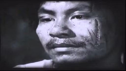 Thị Nở tuy xấu "ma chê quỷ hờn" nhưng lại có một tình yêu trong sáng thức tỉnh lương tri con người, khơi dậy khát khao về một mái ấm gia đình có sự chăm sóc, yêu thương. Thị Nở là nhân vật phụ xuất hiện ở gần cuối truyện nhưng lại khiến cho cuộc đời Chí Phèo có bước ngoặt lớn.