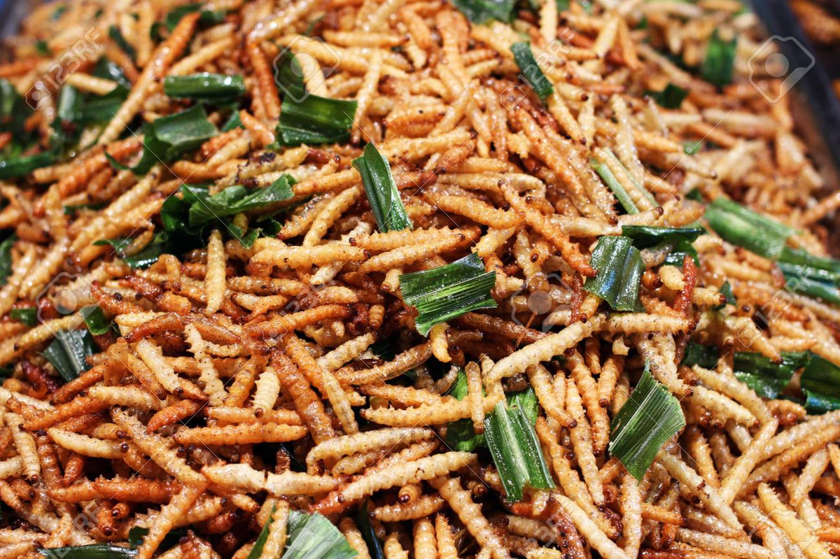 Sâu tre (Omphisa fuscidentalis): Sâu tre thuộc nhóm côn trùng biến thái hoàn toàn. Vòng đời kéo dài 12 tháng. Pha sâu non gồm 5 tuổi và kéo dài khoảng 9 tháng. Sâu non tuổi 1 xâm nhập vào cây tre bằng cách đục một lỗ trên lóng măng. Đây là thức ăn phổ biến ở nhiều vùng. Hiện nay sâu tre có giá rất đắt, khoảng nửa triệu đồng/kg.