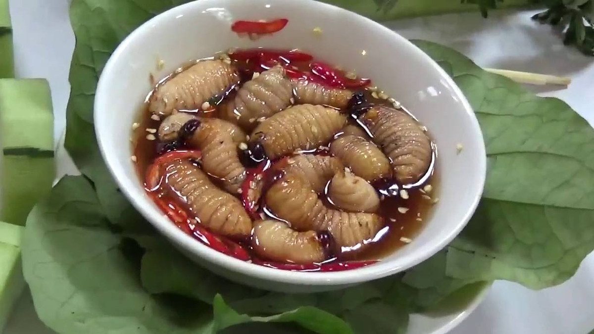 Đuông cọ có giá trị dinh dưỡng cao, nhất là hàm lượng đạm. Cứ 100 gram đuông cung cấp 13 gram protein, canxi, muối khoáng… Ngoài ra, do thức ăn là lõi và nõn cọ, nên đuông cọ rất thơm. Khi chế biến chỉ cần ngâm trong nước cho hết chất nhựa và mùi đặc trưng của cọ. 