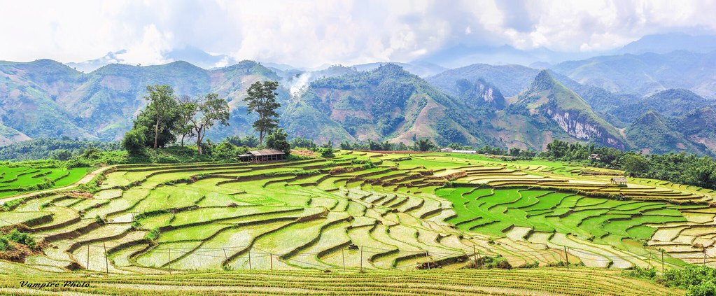 Văn Bàn: Nằm ở phía Nam tỉnh Lào Cai trên độ cao từ 700 - 900 m so với mặt nước biển. Đây là huyện vùng cao gồm 12 dân tộc, đông nhất là dân tộc Tày, các dân tộc có số lượng ít là Nùng, Mường, Hoa, Sán Chay, Hà Nhì. Văn Bàn là nơi duy nhất của tỉnh Lào Cai có dân tộc Mông Xanh - một trong 4 ngành của dân tộc Mông cư trú ở Việt Nam.