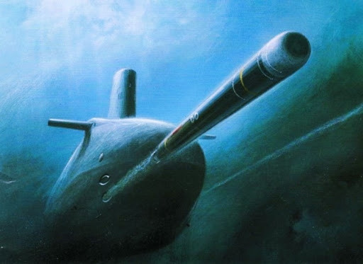 Ngư lôi Sailfish được đưa vào sử dụng từ năm 1992, nhưng sau đó ngừng sản xuất vì không có ngân sách và được sản xuất lại vào năm 2020. Kể từ khi bắt đầu sản xuất vào năm 1988, cho đến nay đã có khoảng 500 quả ngư lôi Sailfish đã được chế tạo. Ngư lôi lắp đầu đạn nặng 300 kg và tầm bắn 54 km.