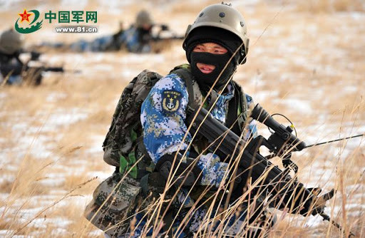 Mặc dù cuộc tập trận "Ảo ảnh" của Chiến khu Nam bộ không có màn bắn đạn thật, nhưng lại có kèm việc sử dụng các tàu đệm khí để vận chuyển xe tăng chiến đấu hạng nặng Type 96A, hỗ trợ hỏa lực đánh chiếm mục tiêu đầu cầu; nên không thể đánh giá thấp về quy mô.