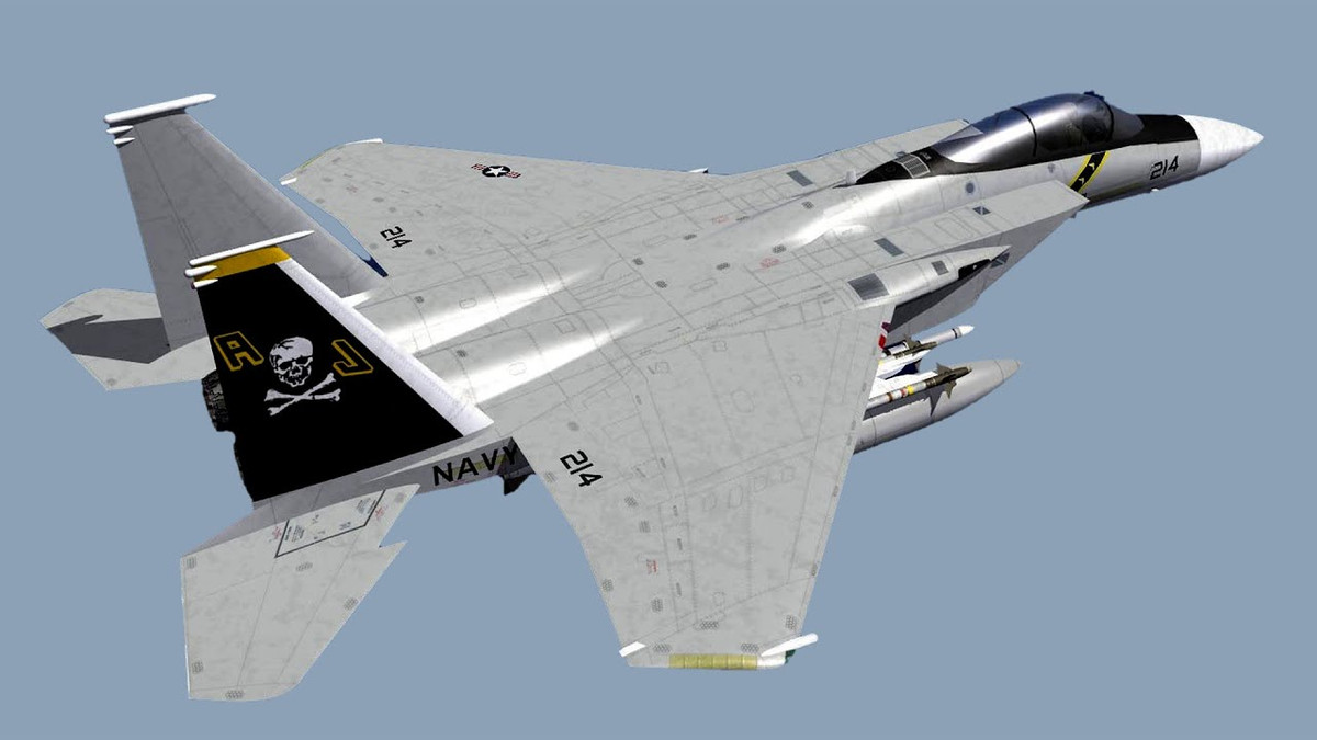 Một giải pháp thay thế khác là phát triển phiên bản hải quân của F-15 Eagle. Nhiều người đã suy nghĩ về vấn đề này vào đầu những năm 1970, với nhiều khái niệm khác nhau, và F-15 phiên bản trên tàu sân bay đã xuất hiện trên bản vẽ.