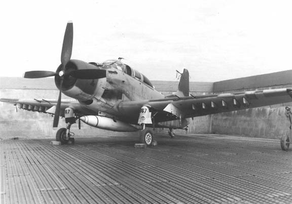 Các phi đội A-1E khác của Không quân Mỹ, xuất phát từ các căn cứ ở miền Nam Việt Nam và Thái Lan, đảm nhiệm cung cấp hỏa lực cho các lực lượng chiến đấu của quân đội Mỹ, ngụy trên các chiến trường Miền Nam Việt Nam, Hạ Lào; phun rải chất độc hóa học và săn tìm lực lượng ta trên Đường mòn Hồ Chí Minh.