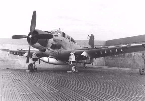 Các phi đội A-1E khác của Không quân Mỹ, xuất phát từ các căn cứ ở miền Nam Việt Nam và Thái Lan, đảm nhiệm cung cấp hỏa lực cho các lực lượng chiến đấu của quân đội Mỹ, ngụy trên các chiến trường Miền Nam Việt Nam, Hạ Lào; phun rải chất độc hóa học và săn tìm lực lượng ta trên Đường mòn Hồ Chí Minh.