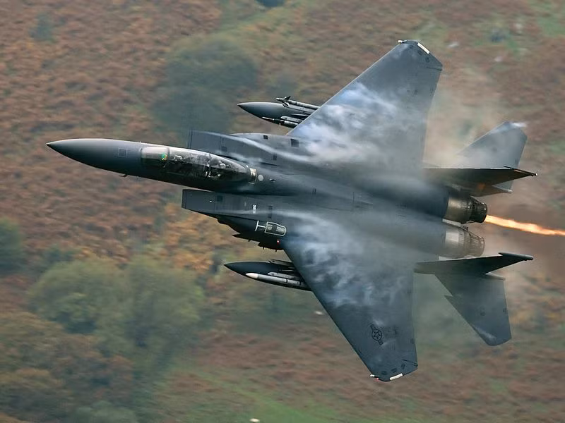 Theo một nguồn tin, lệnh này không nêu chi tiết về nhiệm vụ, nhưng Vệ binh Quốc gia tuyên bố rằng, các máy bay chiến đấu F-15C được phép bay qua người biểu tình ở độ cao thấp nhất có thể, để đe dọa và giải tán "trong trật tự" các đám đông quá khích.