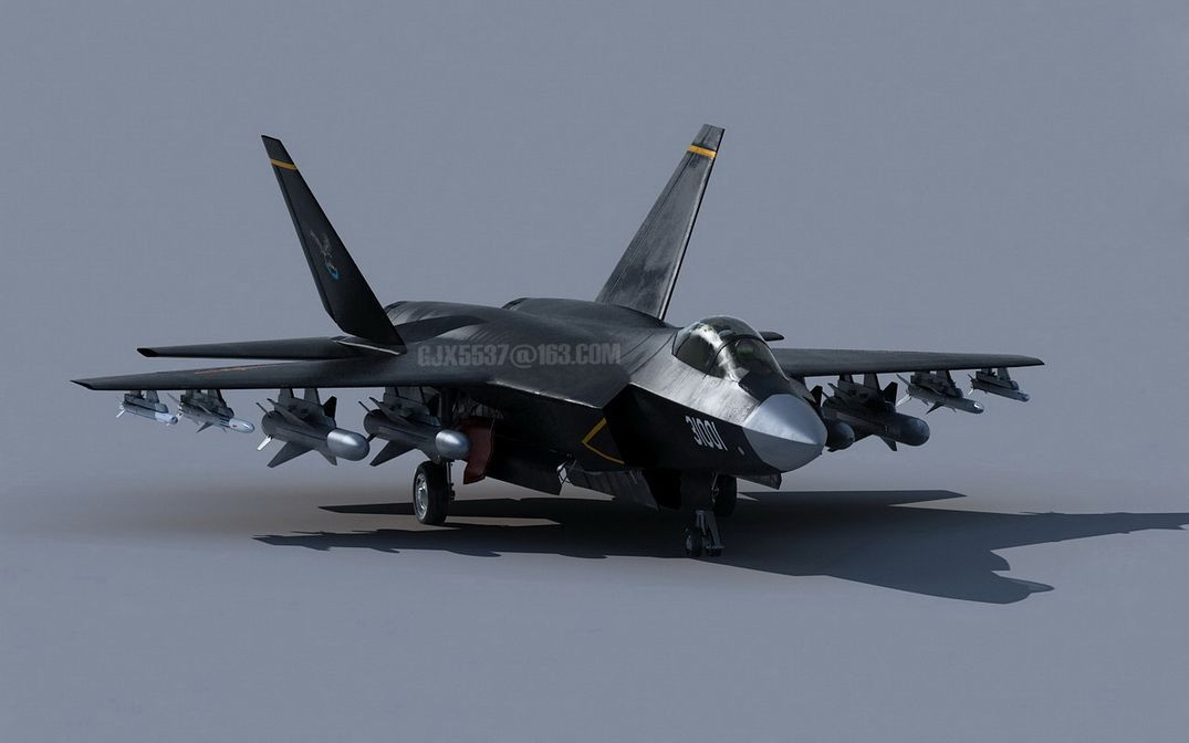 Là tiêm kích chiến đấu thế hệ 5, FC-31 có khoang chứa vũ khí bên trong. Tổng tải trọng chiến đấu đạt 8 tấn, trong đó có tới 2 tấn bên trong thân máy bay, có khả năng mang và sử dụng nhiều loại vũ khí máy bay do Trung Quốc thiết kế đã được công bố.