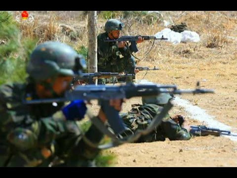 Lực lượng đặc biệt cuối cùng thuộc Cục Trinh sát quân đội, có biên chế khoảng bốn tiểu đoàn trinh sát độc lập. Lực lượng này được huấn luyện và tổ chức chặt chẽ; quân số một tiểu đoàn đặc biệt này khoảng 500 người.