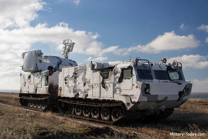 Vị trí thứ 2 thuộc về hệ thống phòng không Tor-M2DT, cùng với Pantsir-SA đây là các tổ hợp tác chiến phòng không tự hành, dùng để bảo vệ lực lượng mặt đất khỏi các cuộc tấn công từ trên không của đối phương.