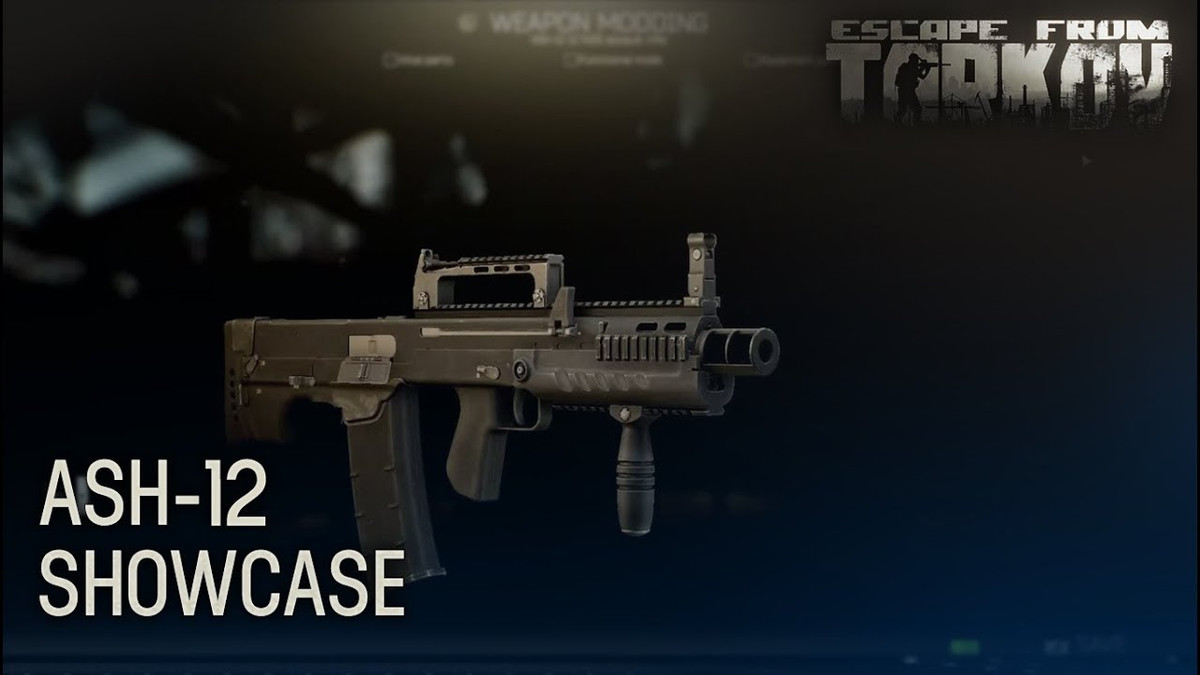 Như vậy khẩu súng trường Ash-12, là một vũ khí sử dụng trong các tình huống chống khủng bố với hỏa lực rất mạnh, với kích thước lớn. Loại vũ khí này không phù hợp cho các cuộc giao tranh trong không gian mở, vì loại súng trường tiến công bình thường sẽ phát huy hỏa lực tốt hơn.