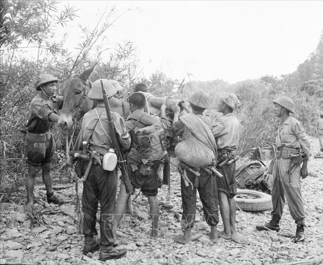 Khi Trung đoàn 174 chủ lực được thành lập ngày 19 tháng 8 năm 1949, trên cơ sở hợp nhất lực lượng của 3 trung đoàn thuộc 3 tỉnh: Trung đoàn 74 (Cao Bằng), Trung đoàn 72 (Bắc Cạn), Trung đoàn 28 (Lạng Sơn); ông được cử làm Trung đoàn trưởng đầu tiên và Chu Huy Mân làm chính ủy đầu tiên.