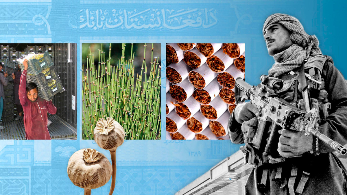 Số một là ma túy, giá trị khoảng 416 triệu USD. Afghanistan chiếm khoảng 84% sản lượng thuốc phiện toàn cầu trong 5 năm qua, theo Báo cáo Ma túy Thế giới năm 2020 của Liên hợp quốc. Phần lớn lợi nhuận thu được từ ma túy bất hợp pháp thuộc về Taliban, lực lượng quản lý thuốc phiện trong các khu vực do chúng kiểm soát.