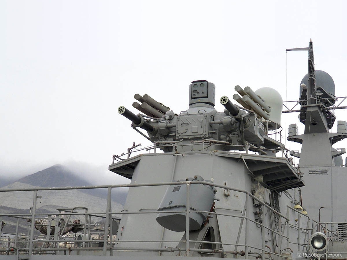 Hệ thống phòng không tầm gần được cung cấp bởi hệ thống pháo phòng không Palma được trang bị Sosna-R SAM và hệ thống điều khiển hỏa lực pháo 3V-89 cỡ trung bình.