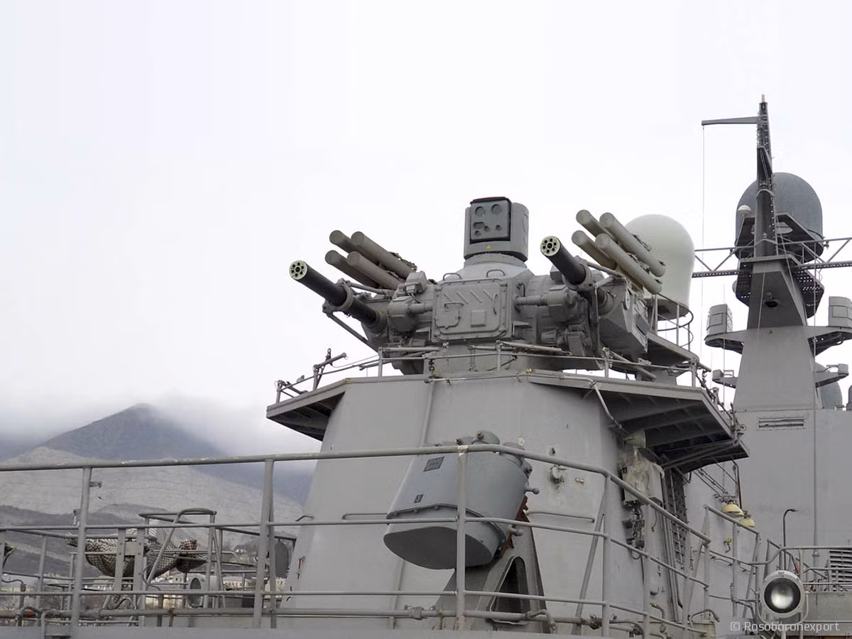 Hệ thống phòng không tầm gần được cung cấp bởi hệ thống pháo phòng không Palma được trang bị Sosna-R SAM và hệ thống điều khiển hỏa lực pháo 3V-89 cỡ trung bình.