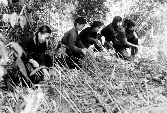 Tránh đối phó trực diện với địch để bảo toàn chính quyền cách mạng, quân và dân ta đã dùng giàn thun bắn lựu đạn đánh bức rút hàng loạt đồn, bót địch. Cứ quan sát thấy địch nổi lửa nấu cơm là sử dụng "pháo hãm thanh" bắn vào đồn vài quả lựu đạn.