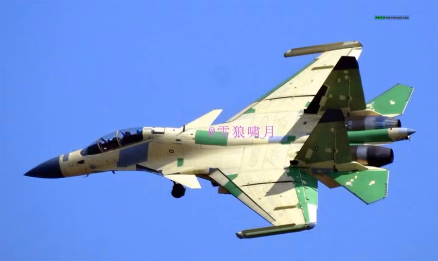 Nhiều khả năng khung thân J-16D được tối ưu cho tên lửa diệt radar, cũng như mang được 2-3 khối thiết bị tác chiến điện tử gây nhiễu dưới cánh và thân. Mỗi khối như vậy có thể dùng đối phó một dải tần số radar khác nhau, cũng như ứng dụng công nghệ AESA.