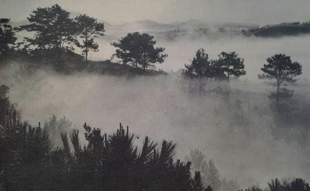 Hoàng Cầm đã trăn trở ngày đêm suy nghĩ, mình phải làm một cái gì đó giúp cho đồng đội giảm bớt thương vong. Một buổi sáng dạo bên bờ suối, nhìn làn khói lượn lờ quanh mái bếp, Hoàng Cầm chợt nảy ra sáng kiến làm một kiểu bếp có thể nấu nướng mọi thứ ban ngày mà không sợ máy bay địch phát hiện.