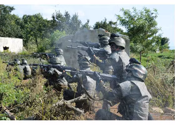 Tại một cuộc họp ở Geneva (Thụy Sĩ) về lập lại hòa hình cho Syria, người đứng đầu Ủy ban Đàm phán cấp cao của lực lượng nổi dậy, tố cáo những người lính của các đơn vị đặc biệt Triều Tiên, đã góp phần quan trọng vào sự tồn vong của chế độ Bashar al-Assad.