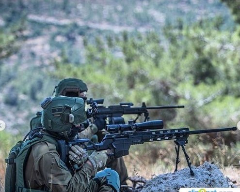 DAN chỉ sử dụng kính ngắm quang học, không có bộ phận ngắm thông thường; hộp tiếp đạn 10 viên có thể tháo rời. Báng súng ngoài việc có thể điều chỉnh với hình dáng người bắn, còn có thể gấp sang bên phải (trái); hai chân súng có thể điều chỉnh, gập lại hoặc tháo ra; giúp súng nhỏ gọn hơn khi mang theo, hoặc vận chuyển.