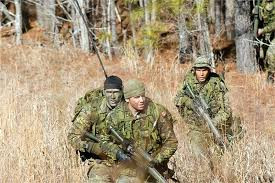 Như vậy, một trung đoàn có 3 tiểu đoàn. Mỗi tiểu đoàn có 5 đại đội, 3 súng trường, 1 yểm trợ, 1 bảo đảm. Mỗi đại đội có 3 trung đội, mỗi trung đội có 3 tiểu đội. Một tiểu đội có 4 binh sĩ mang súng trường, 2 binh sĩ bắn lựu đạn và 2 binh sĩ mang súng máy.