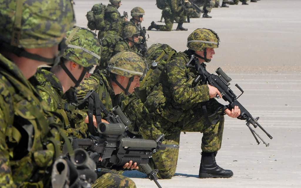 Một trong các đại đội súng trường ở tiểu đoàn thứ 3, của mỗi trung đoàn là đại đội nhảy dù. Vì vậy, mỗi trung đoàn sẽ có một đại đội nhảy dù, như vậy, quân đoàn sẽ có tổng số 3 đại đội bộ binh đổ bộ đường không.