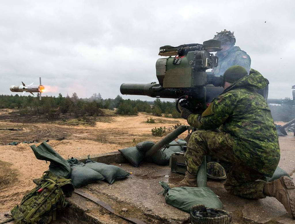 Các loại vũ khí khác, như súng máy GPMG C6 và bệ phóng tên lửa không thuộc đội súng trường thông thường. Họ thành lập một đơn vị hỏa lực với vũ khí hạng nặng, trong các trung đội súng trường và sẽ có các trung đội hỏa lực trong các đại đội súng trường.