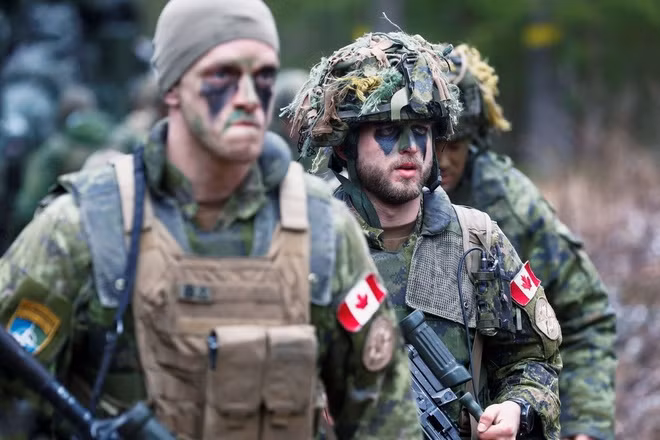 Các tiểu đội súng trường của Canada khác với các đội súng trường của Quân đội Mỹ ở chỗ có 8 người thay vì 9 người. Trong quân đội Mỹ, người chỉ huy tiểu đội được tách biệt với các nhóm. Đối với quân đội Canada, chỉ huy tiểu đội là một phần của một trong các nhóm tấn công.