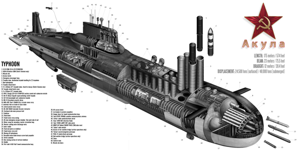 Vũ khí chính của Typhoon bao gồm 20 tên lửa đạn đạo R-39 Rif; đây là loại tên lửa đạn đạo xuyên lục địa phóng từ tàu ngầm lớn nhất từng được chế tạo vào thời điểm đó.
