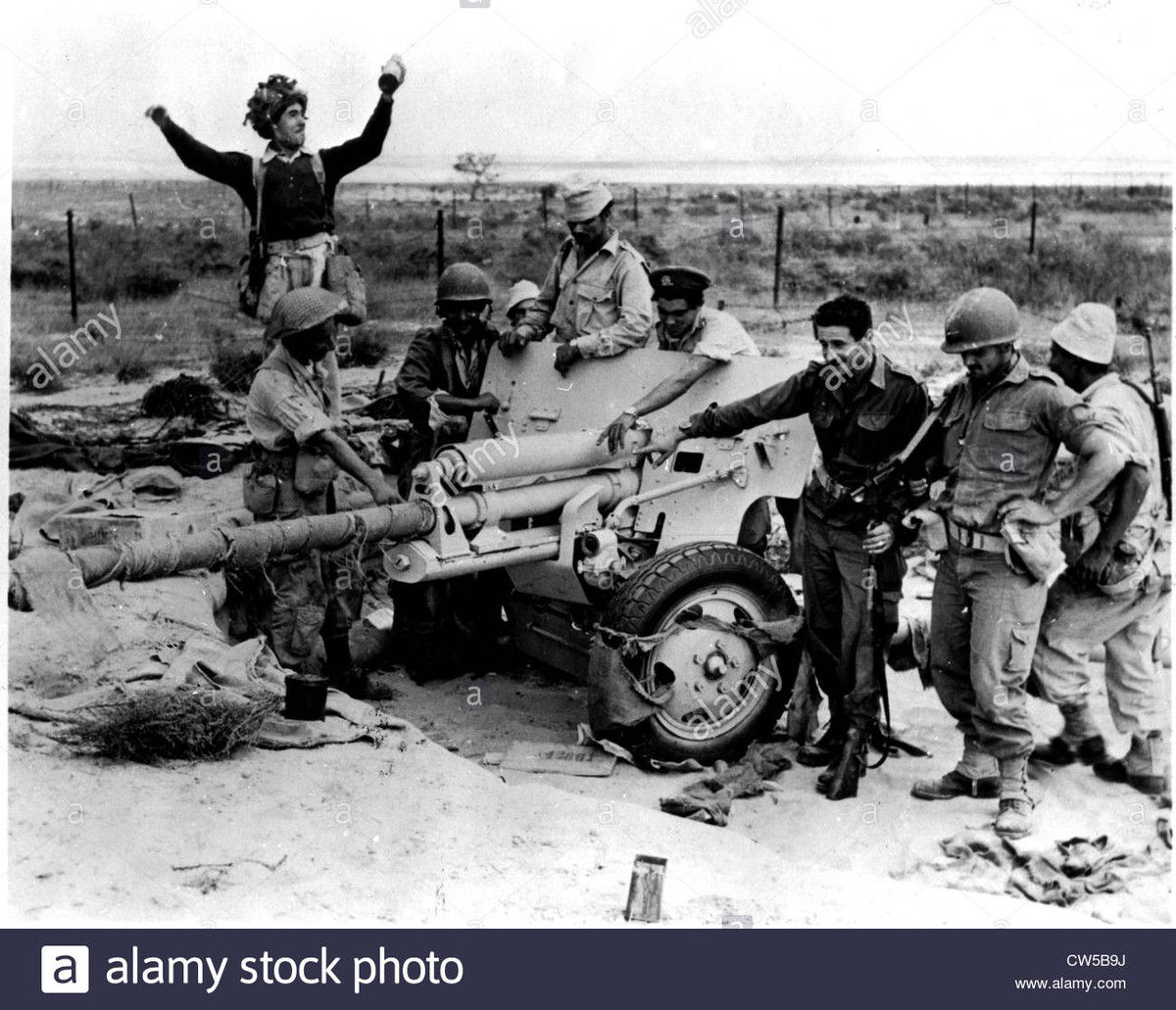 Giống như Quân đội Israel, lực lượng liên quân Anh-Pháp mặc dù phải đối mặt với rất nhiều quân Ai Cập, nhưng được huấn luyện và chỉ huy kém, nên quân Anh bị thương vong khoảng 100 người (so với khoảng 4 nghìn người vào D-Day), Pháp mất khoảng 50 người và người Israel khoảng 1.100 người. Tổn thất của Ai Cập trong cuộc chiến trên là khoảng 8.000 người hoặc hơn.