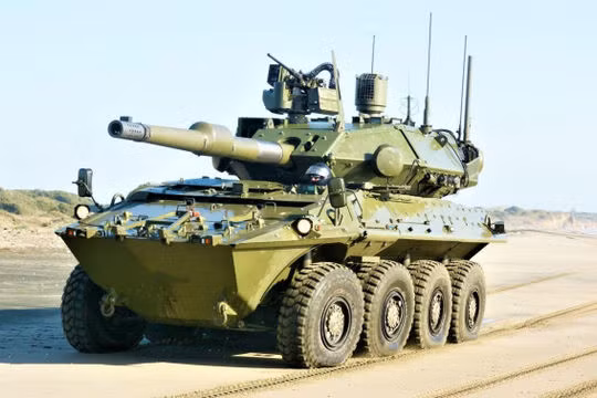 Guarani được vận hành bởi một kíp lái gồm hai người và chở được 9 bính lính. Xe chiến đấu bộ binh đã được trang bị pháo tự động 30 mm Mk 44. Ngoài ra xe có thể được sử dụng như một xe trinh sát, được trang bị pháo 105 mm, hoặc trở thành một súng cối tự hành cỡ nòng 120 mm.