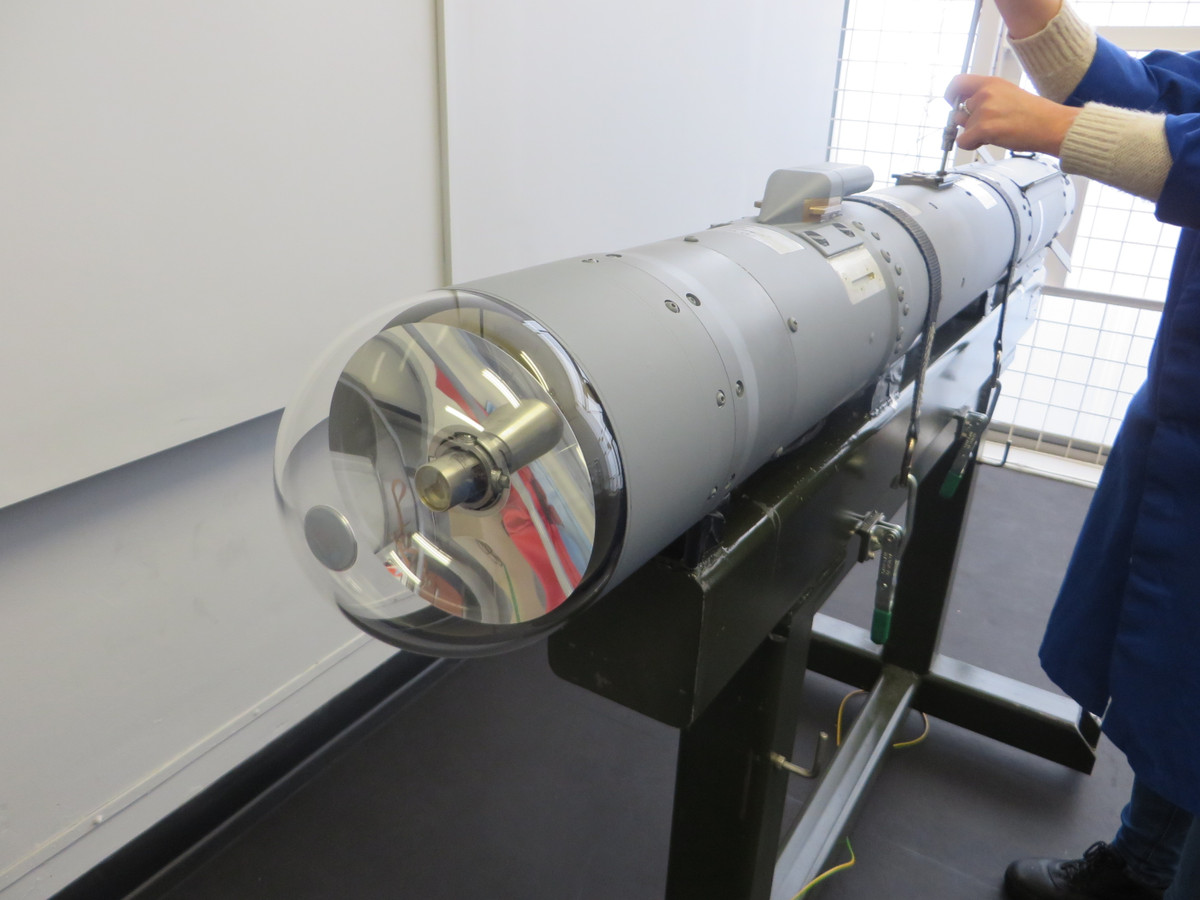 Bộ nhớ tần số vô tuyến kỹ thuật số được coi là một trong những công nghệ phát hiện và gây nhiễu điện tử tiên tiến nhất hiện nay, có khả năng gây nhiễu nhằm tăng khả năng sống sót của thiết bị phóng và cung cấp khả năng tấn công.