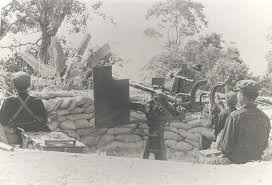 Đầu tiên là pháo cao xạ 20mm Oerlikon, pháo có cỡ nòng 20mm, trọng lượng 480kg, tầm bắn cao tới 2000m, tốc độ bắn 450 phát/phút. Pháo cao xạ Oerlikon được quân đội nhiều nước đưa vào biên chế. Quân đội nhân dân Việt Nam thu được một số pháo Oerlikon từ quân đội Pháp và sử dụng lại. 