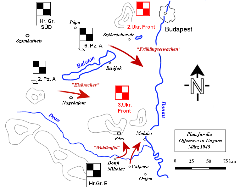Trước cuộc tấn công, hơn 800 xe tăng và pháo của Đức đã tập trung tại Hồ Balaton. Kế hoạch của Đức được gọi là "Đánh thức mùa xuân" được tổ chức thành ba mũi tấn công đồng thời, nhằm gây thất bại nặng nề cho quân của Phương diện quân Ukraine số 3.