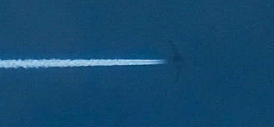 Qua phân tích bức ảnh này cho thấy, máy bay không người lái RQ-180 với cách bố trí thiết kế kiểu cánh bay là loại máy bay do thám không người lái tàng hình, không có vũ khí; máy bay đang bay từ đảo Guam đến các khu vực lân cận của Trung Quốc để làm nhiệm vụ.