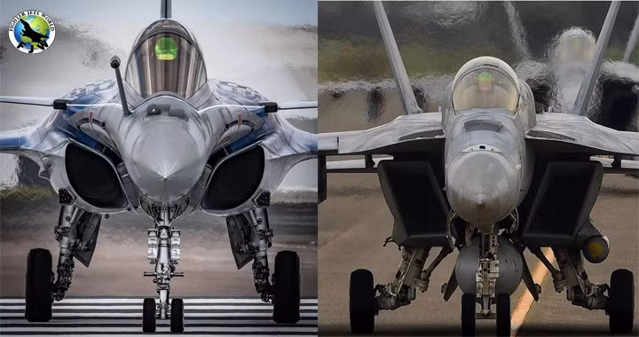 Máy bay của Mỹ lớn hơn, tốt hơn, đồng nghĩa với chi phí vận hành và yêu cầu bảo dưỡng thấp hơn so với máy bay Pháp. Nhưng có lẽ quan trọng nhất là hệ thống tác chiến điện tử, radar mảng pha và hệ thống tìm kiếm và theo dõi hồng ngoại của F/A-18E/F vượt trội hơn nhiều so với máy bay chiến đấu Rafale của Pháp.