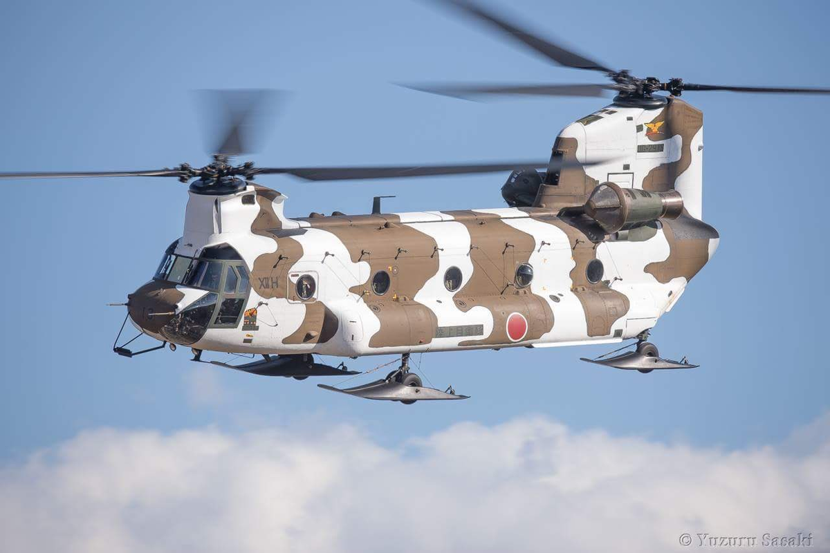 Về trực thăng hỗ trợ có vai trò như giám sát, vận chuyển, tìm kiếm cứu nạn và đổ bộ lực lượng đặc nhiệm, thường trang bị một số vũ khí phòng thủ. Nhật Bản vẫn lép vế trước Trung Quốc, với con số khiêm tốn 610 trực thăng các loại trong biên chế, trong khi đó Trung Quốc có hơn 1.100 trực thăng hỗ trợ.