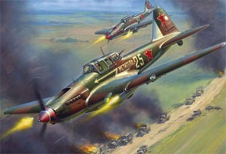 Máy bay có sải cánh 14,6 m, trọng lượng rỗng hơn 4 tấn, trọng lượng cất cánh tối đa 6,2 tấn, sử dụng động cơ Mikulin AM-38, 1680 mã lực. Một trong những vũ khí khí ban đầu của Il-2 là súng máy MP-6, sau đó chuyển sang pháo VYa 23 mm.