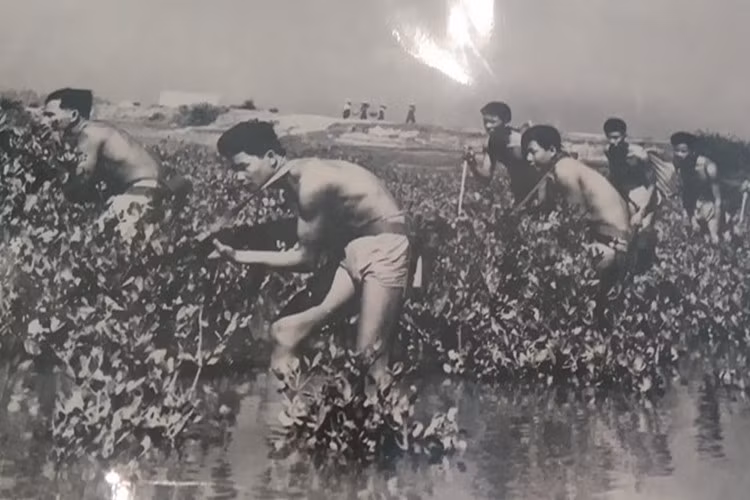 Đầu năm 1969, Thị ủy Vũng Tàu chuyển căn cứ về núi Bà Trao (Long Sơn), để tăng cường lực lượng bám trụ xây dựng cơ sở ở nội ô Vũng Tàu. Bộ Tư lệnh Miền đã tăng cường cho Thị đội Vũng Tàu, Đại đội A32 đặc công nước, lập căn cứ bám trụ khu vực Rừng Sác thuộc địa phận xã Long Sơn.